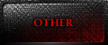 OTHER（その他）